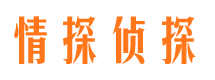 扶风市侦探调查公司